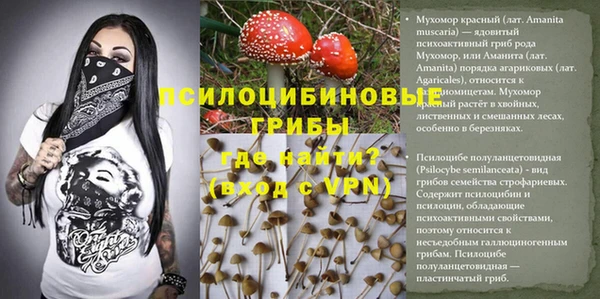 гидра Каменка