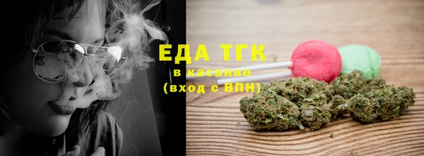 гидра Каменка