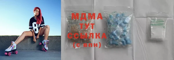 гидра Каменка