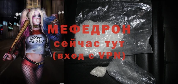 гидра Каменка